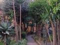 giardino-